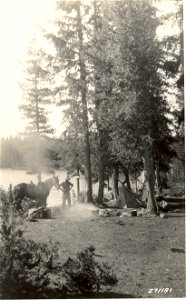 16100-10 Forester at work in camp with horse c1930 photo