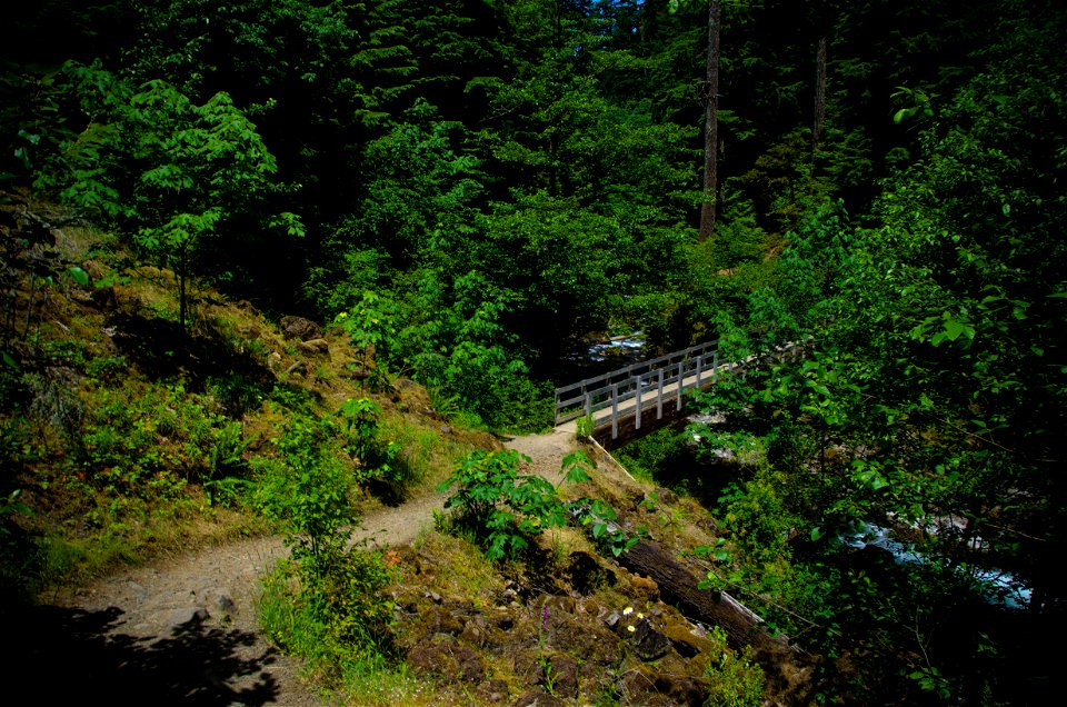 Bridge over Tanner Creek-Columbia River Gorge photo