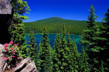 Deschutes National Forest Lower Rosary Lake photo