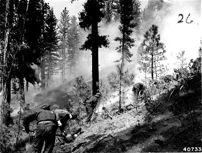 407336 CCC Fighting Fire photo