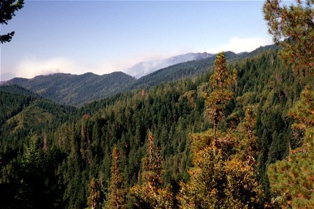 088 Rogue River-Siskiyou National Forest, Biscuit Fire