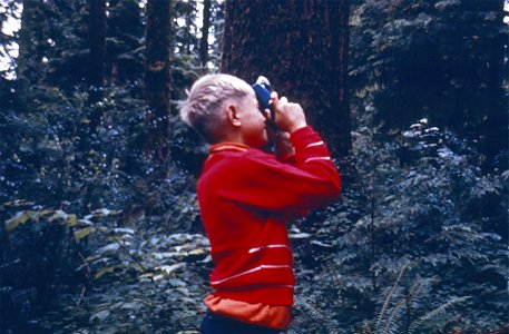 Young boy in Olympic National Forest