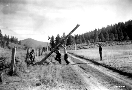 281524 CCC Erecting Phone Line, Fremont NF, OR photo