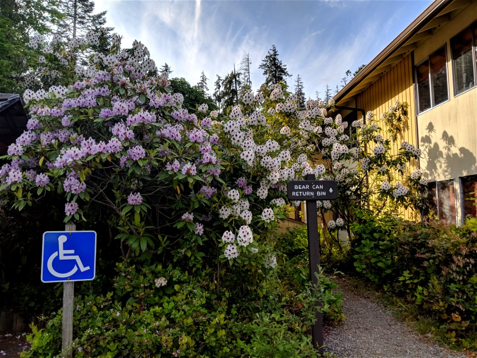 Quinault Ranger District Office by Doug Parrish, May 2018