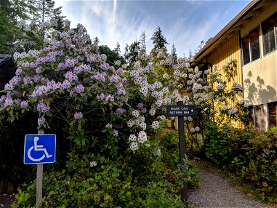 Quinault Ranger District Office by Doug Parrish, May 2018 photo