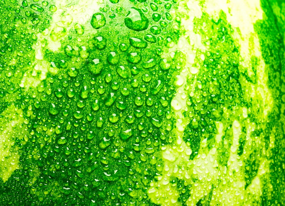 Watermelon background