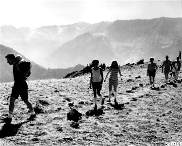 520795 Hiking Atop Mt. Howard, W-W NF, OR 1970