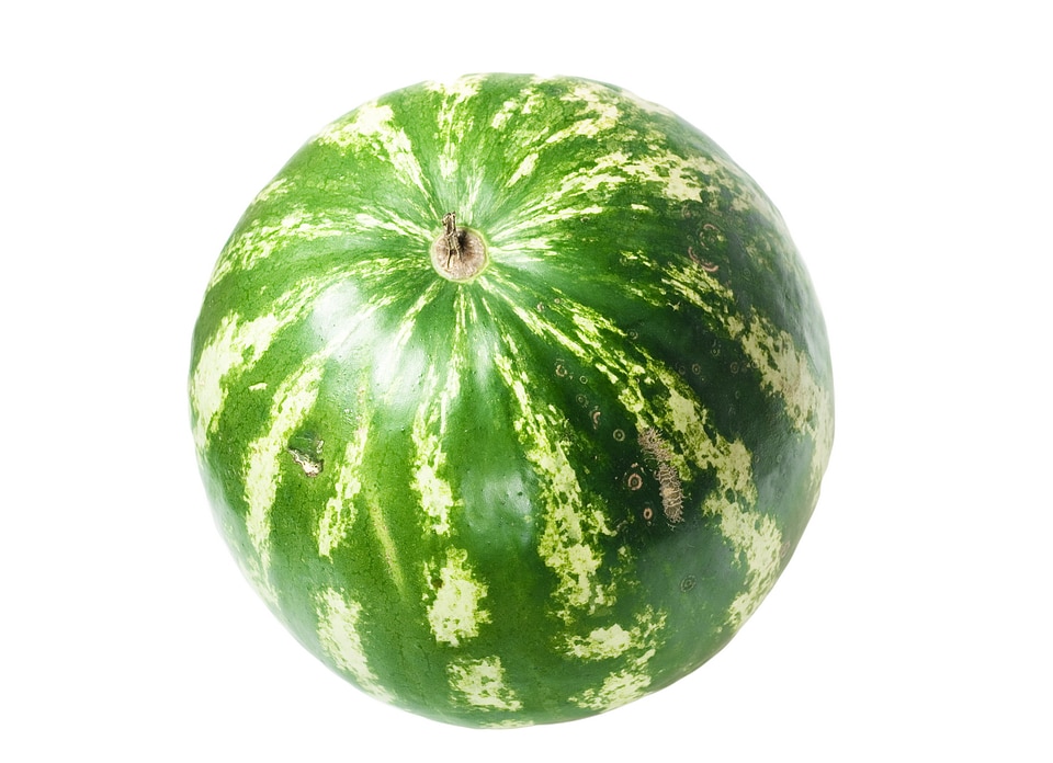 Whole Green Watermelon