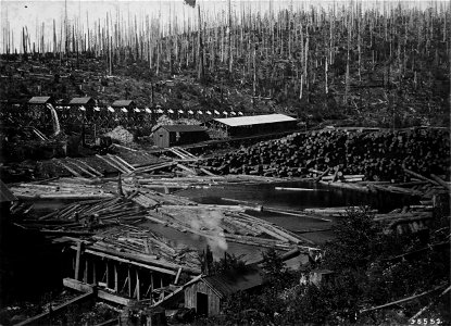 Mill & Log Pond of the B.V. Lumber Company at Palmer, Oregon NF, OR 1911 photo