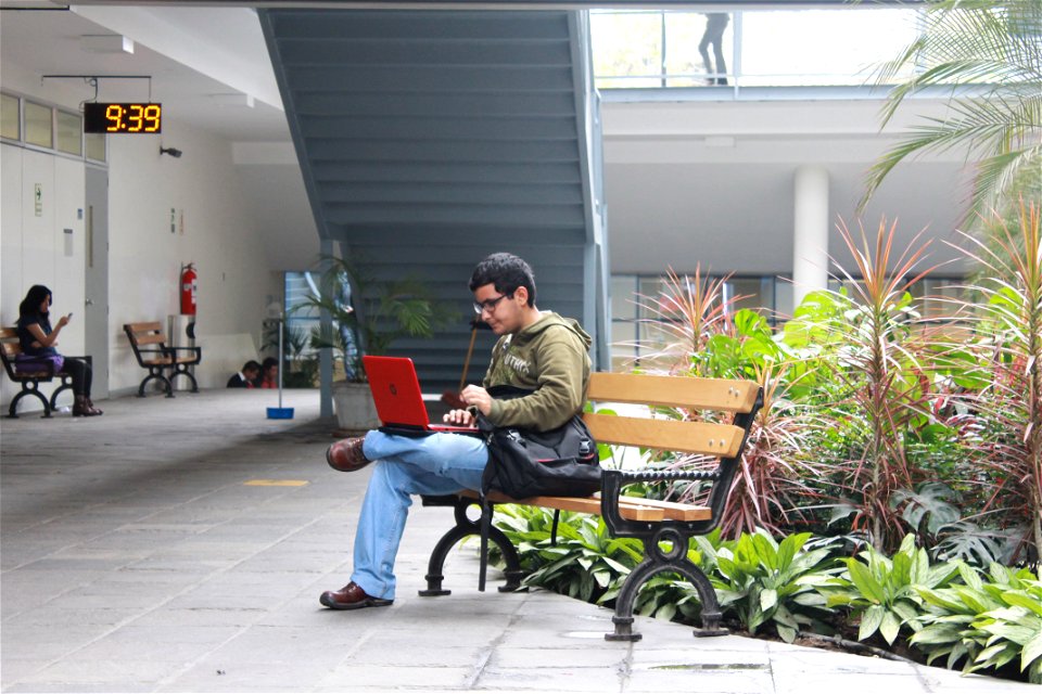 Vida universitaria