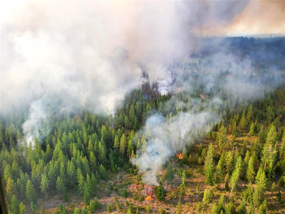 View from Helitack on Aug. 18, 2020, P515  Fire