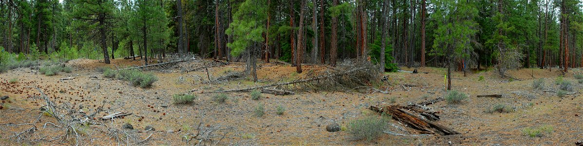 Deschutes National Forest, Whychus Creek restoration panorama before.jpg photo