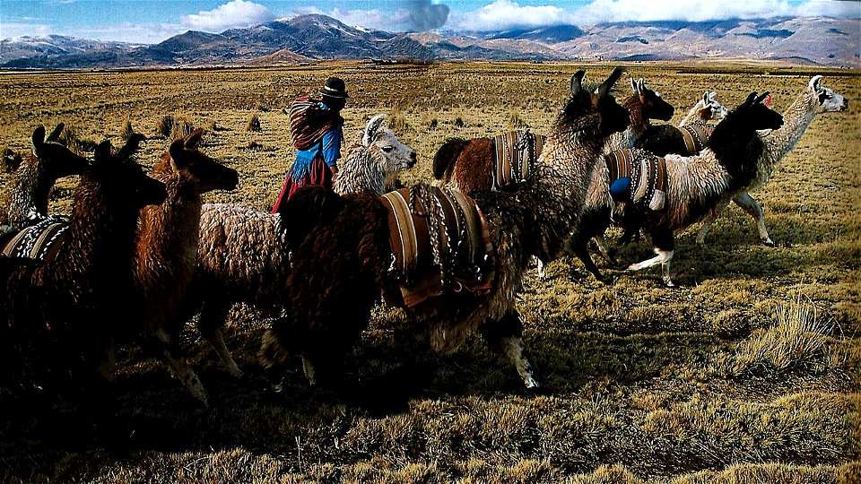 Meseta del Collao, Puno, Perú photo