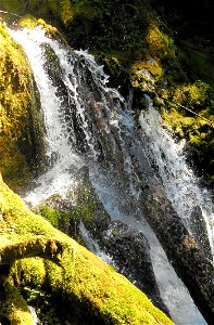 Hoh moss waterfall cbubar photo