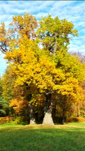20151011 202839 HDR