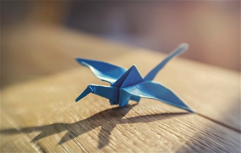 Origami Crane photo