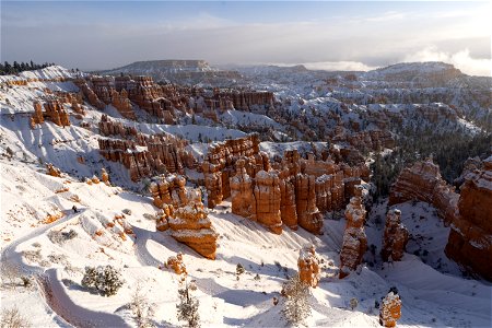 Hikers along a snowy Navajo Loop