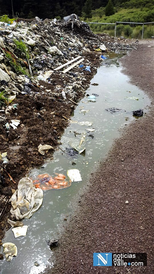 Colapsa planta de tratamiento de desechos sólidos en bosque municipal