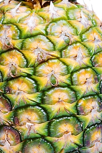 Pineapple background photo