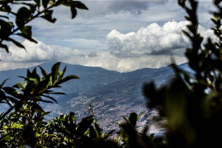 Medellin