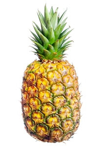 Pineapple on white photo