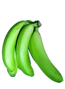 Green bananas photo