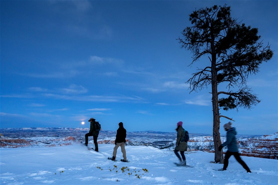 Full Moon Snowshoe Hike (4 of 6)