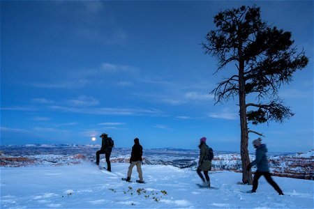 Full Moon Snowshoe Hike (4 of 6)