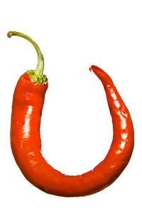 Red chilli pepper photo