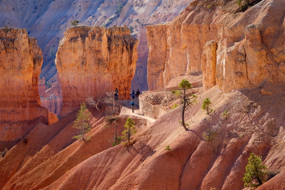 Hikers at the top of Navajo Loop