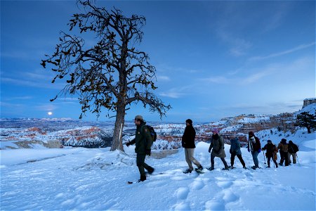 Full Moon Snowshoe Hike (3 of 6)