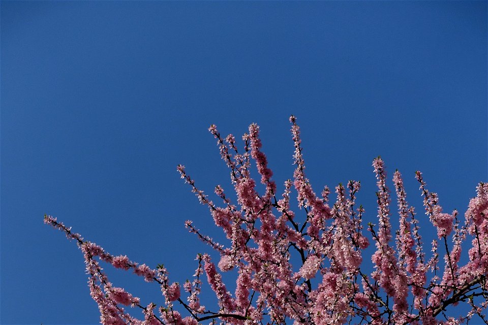 DSC02302
