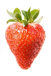 Isolated strawberry photo