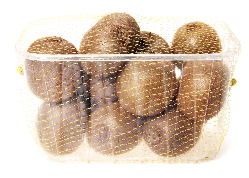 Kiwi in box photo