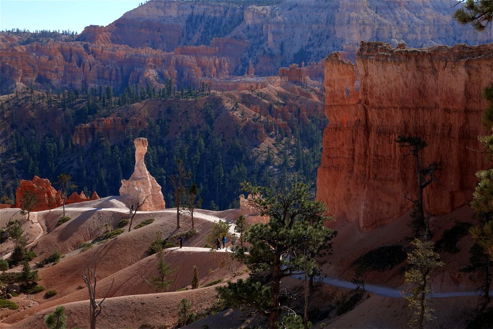 Hoodoo along Queen's Garden Trail