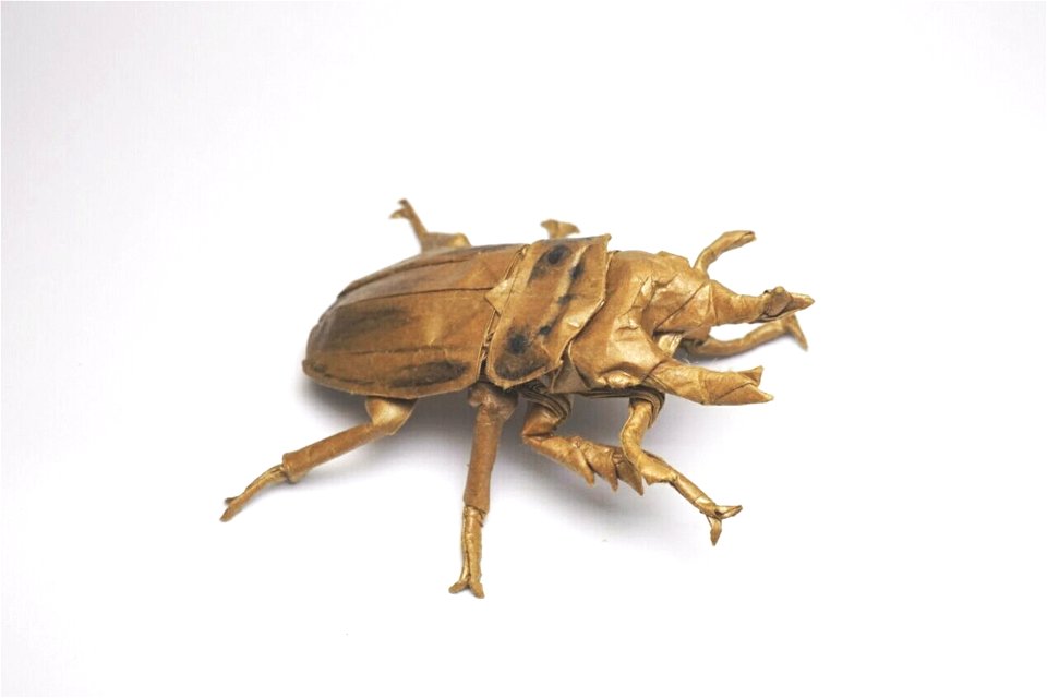 Allotopus Rosenbergi—Shūsaku Uto