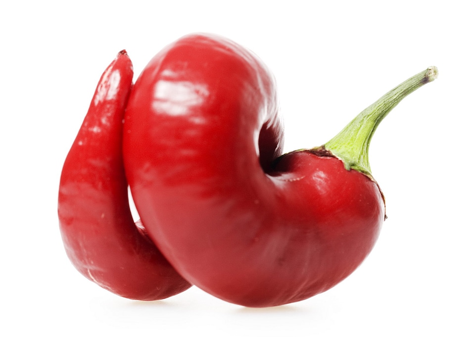 Red chilli pepper