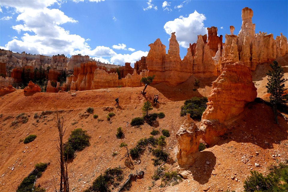 Hikers along the Queen's Garden Trail 2