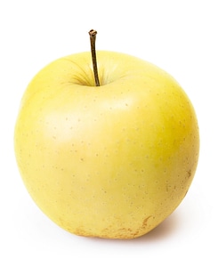 Yellow apple photo