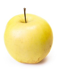 Yellow apple