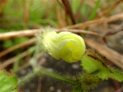 DSC00044 flickr