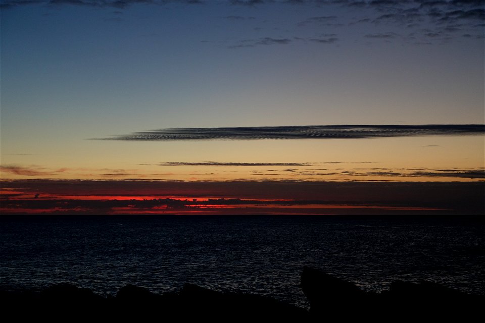 DSC05204