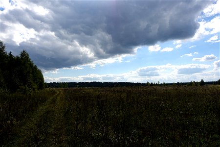 DSC08879