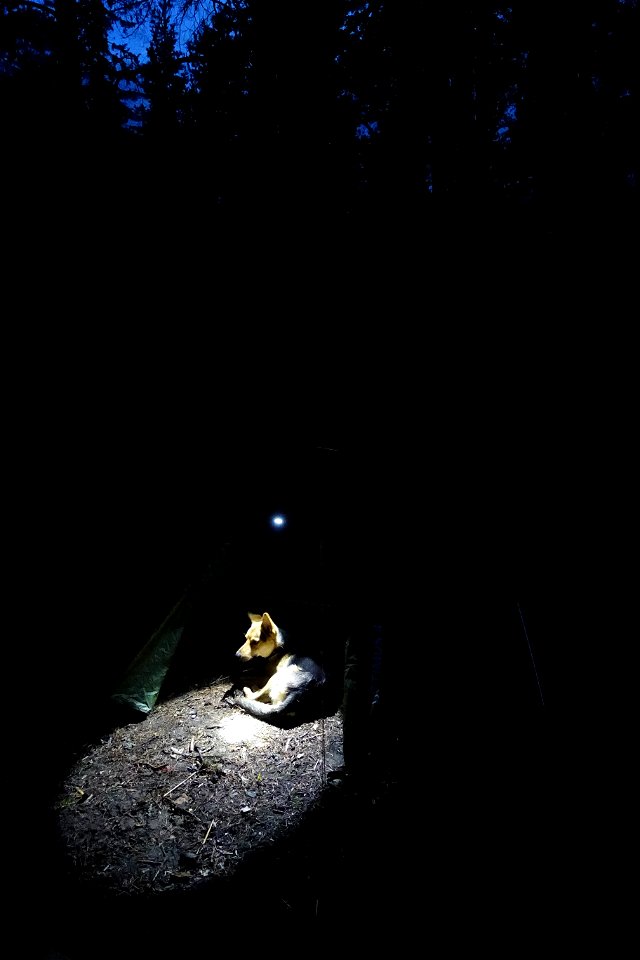 DSC08007
