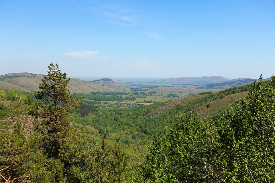 Summer landscape photo