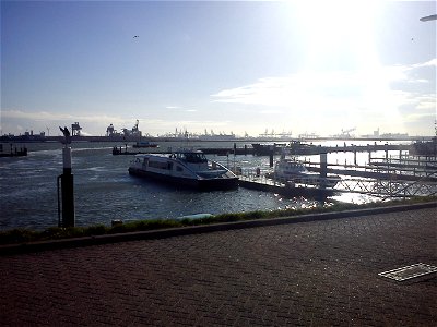 Rotterdam julk.liik. photo