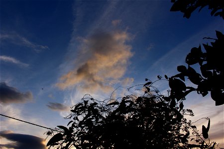 pôr-do-sol photo