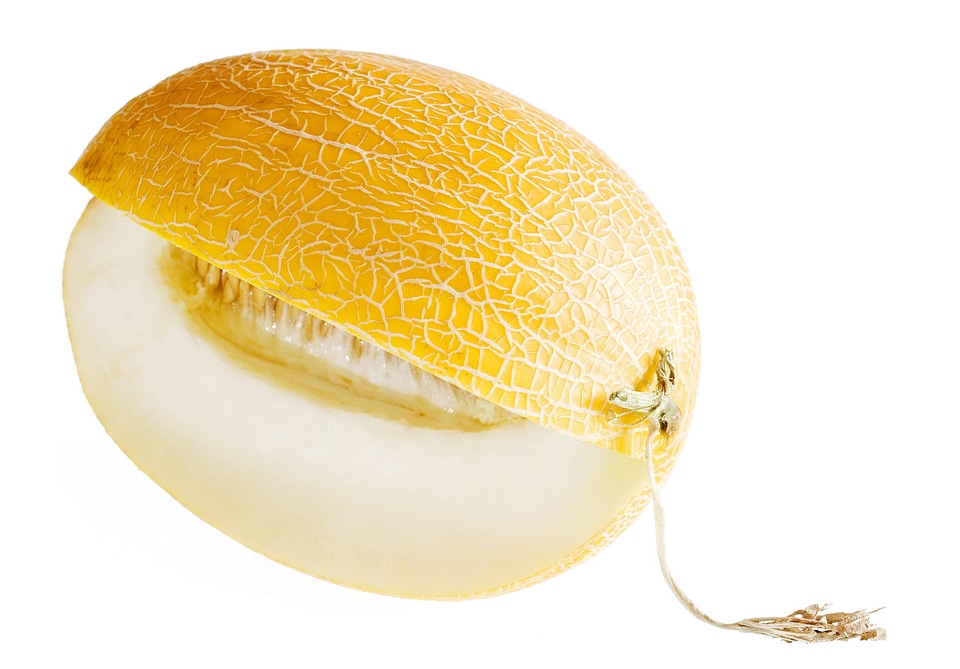 melon
