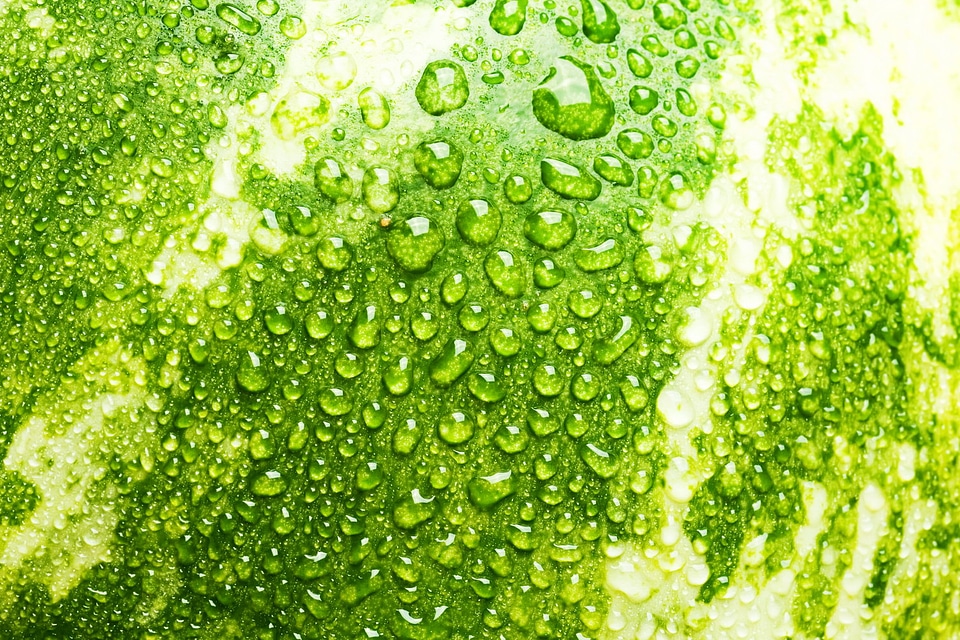 fresh watermelon background