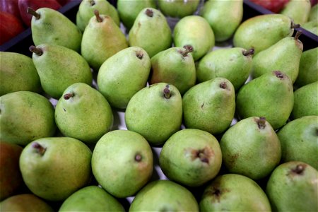 Chargé d’Affaires Kent Logsdon visited U.S. exhibitors at the FRUIT LOGISTICA trade show in Berlin